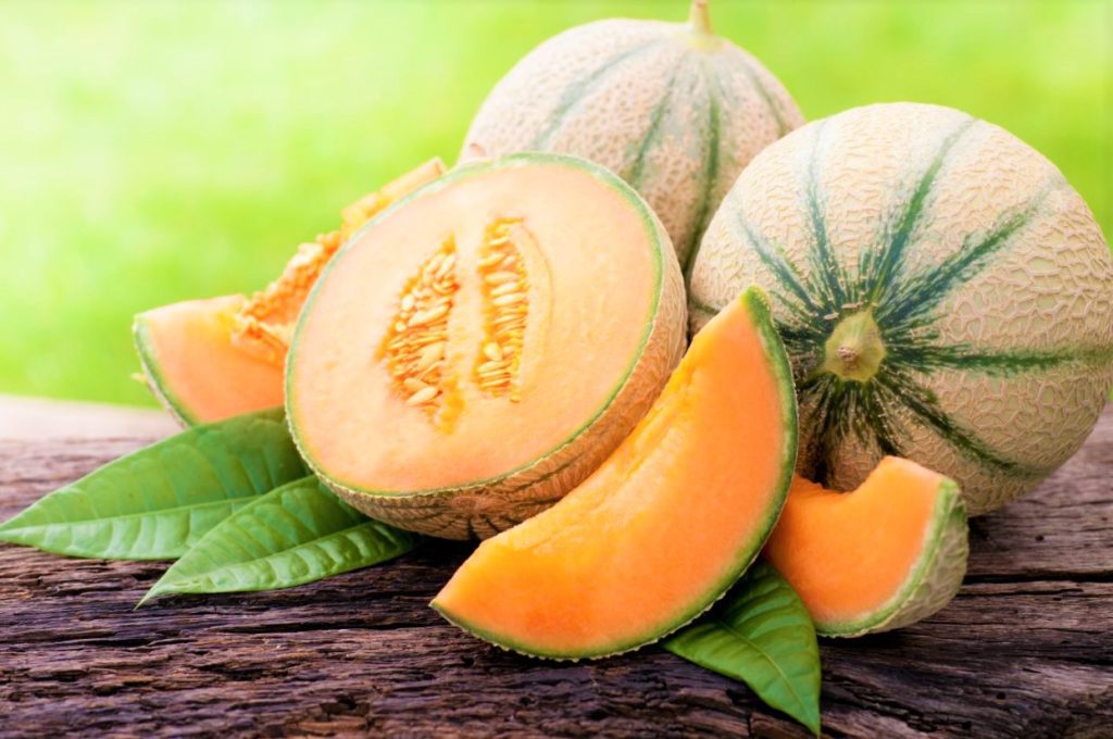 Muskmelon Different types of varieties and benefits.
