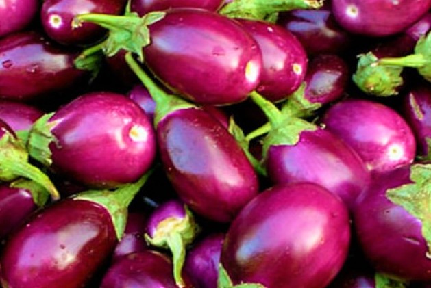 Brinjal