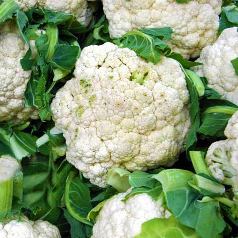 cauliflower