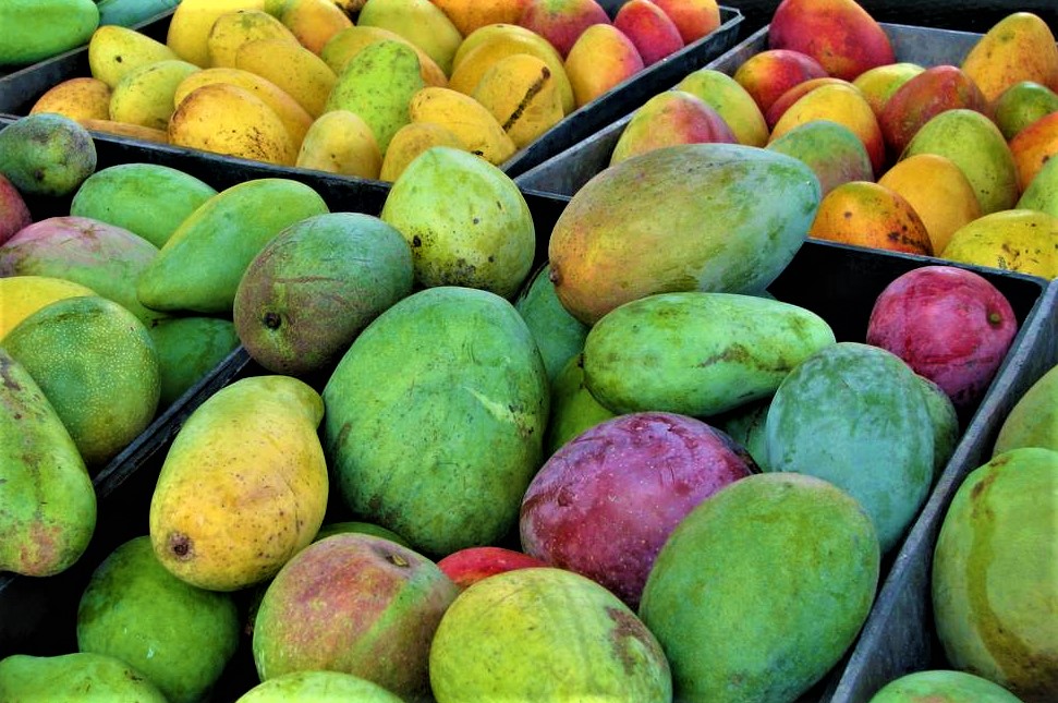 Mangoes