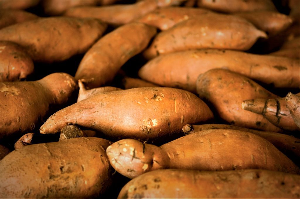 sweet potato