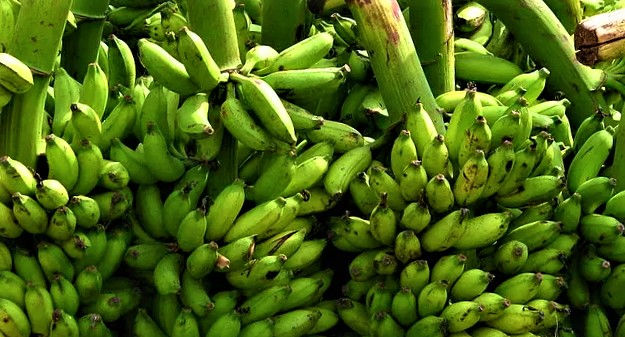 Banana-Production-in-India