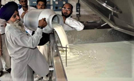 Milk-Production