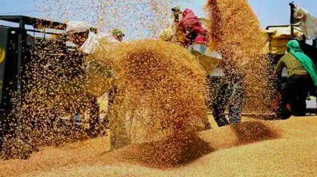 Wheat-Production