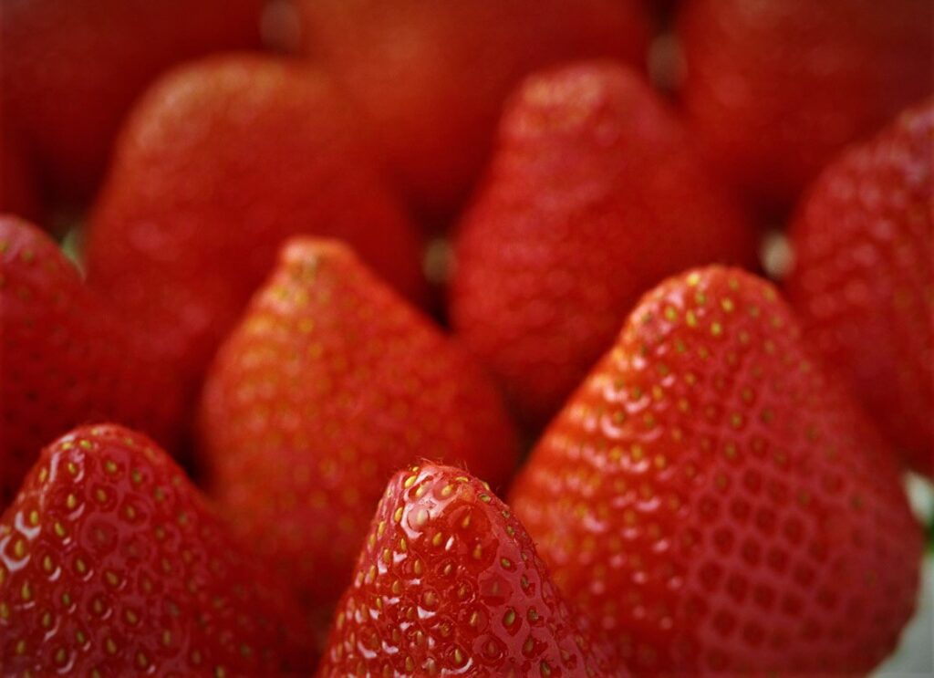 Strawberries Planting , How to Grow And Top Health Benefit