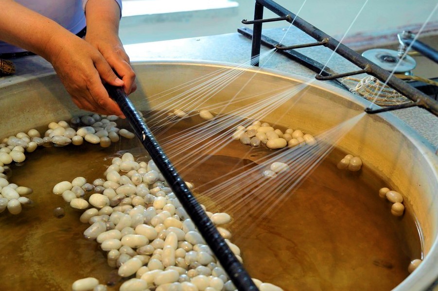 Silk Production