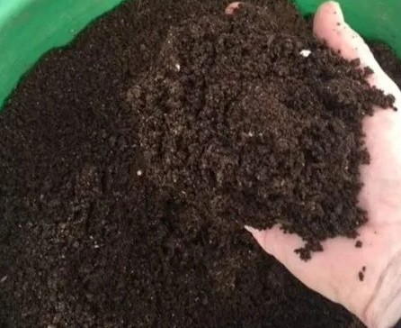 vermicompost-fertilizer