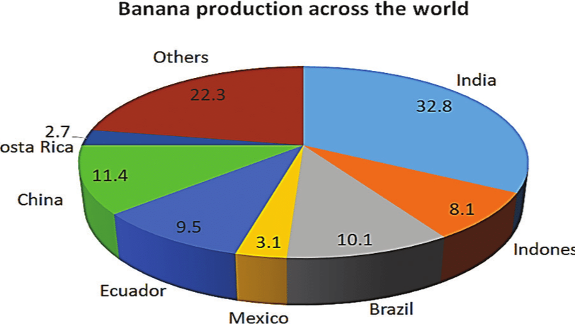 Banana Production